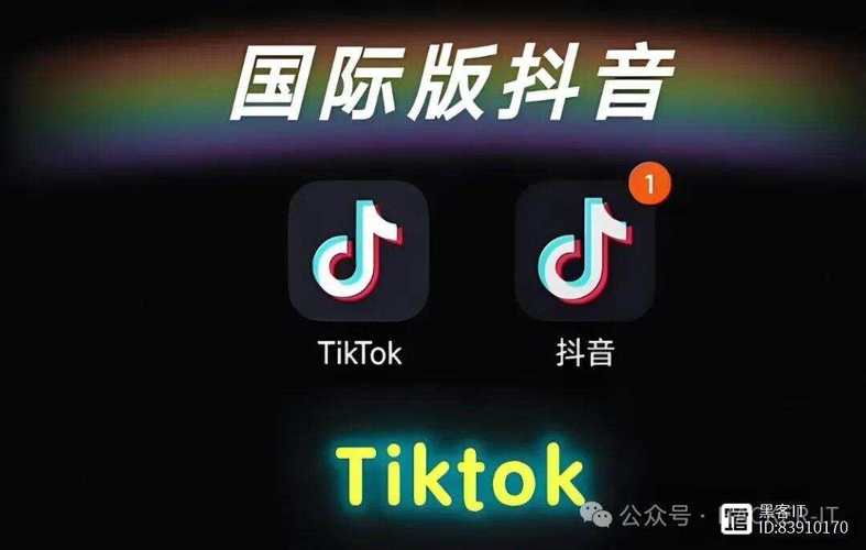 抖音国际TikTok新号怎么买真粉