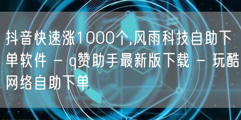 抖音快速涨1000个,风雨科技自助下单软件 - q赞助手最新版下载 - 玩酷网络自助下单