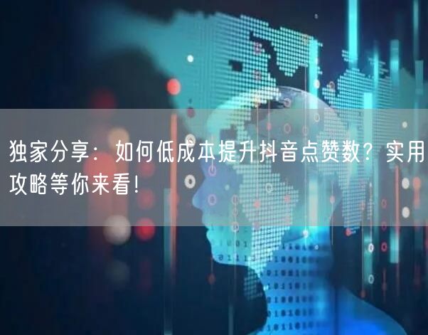 独家分享：如何低成本提升抖音点赞数？实用攻略等你来看！