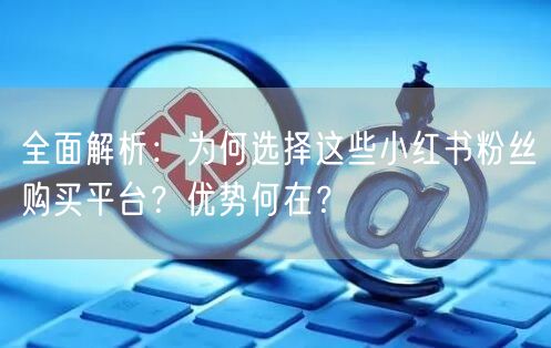 全面解析：为何选择这些小红书粉丝购买平台？优势何在？