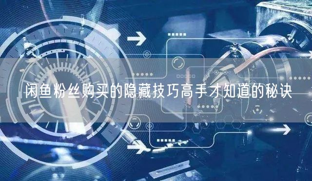 闲鱼粉丝购买的隐藏技巧高手才知道的秘诀