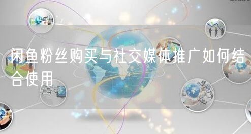 闲鱼粉丝购买与社交媒体推广如何结合使用