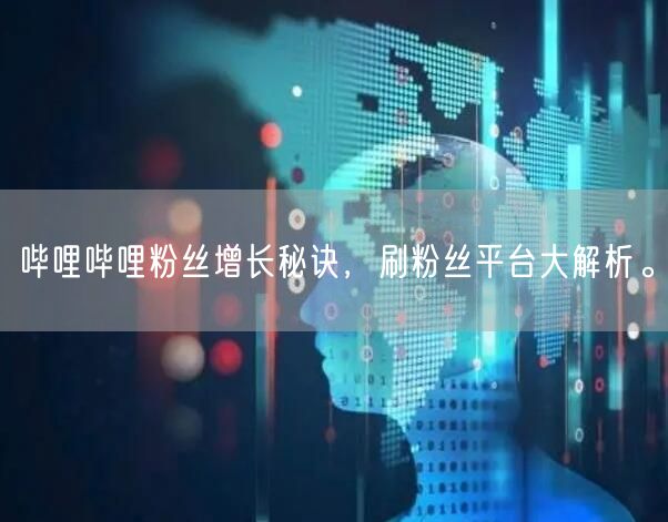 哔哩哔哩粉丝增长秘诀，刷粉丝平台大解析。