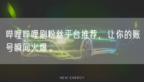 哔哩哔哩刷粉丝平台推荐，让你的账号瞬间火爆。