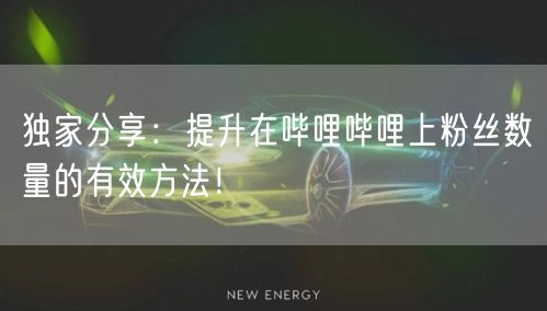 独家分享：提升在哔哩哔哩上粉丝数量的有效方法！