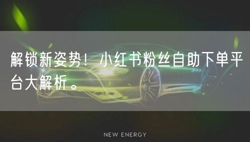 解锁新姿势!小红书粉丝自助下单平台大解析。