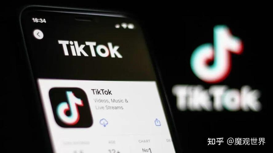 谁有TikTok刷粉,TikTok刷粉：揭秘背后的真相与风险!